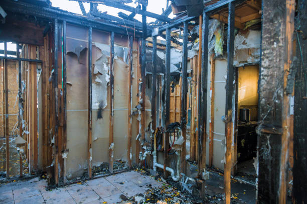 Professional Fire Damage Removal technician working in Franklin Park, PA